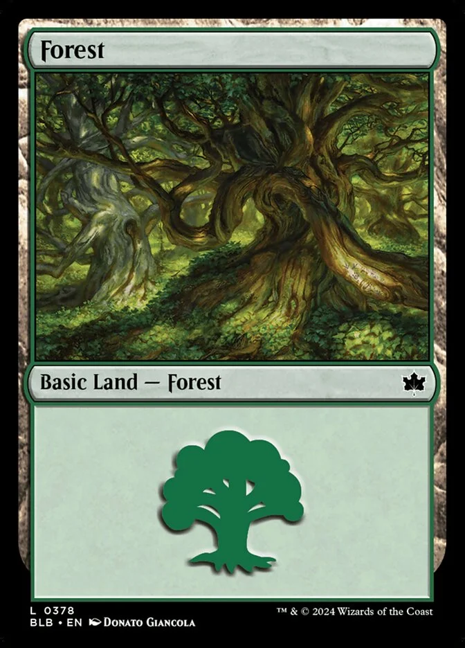 Forest (Bloomburrow) - Magic: The Gathering in TCG Land