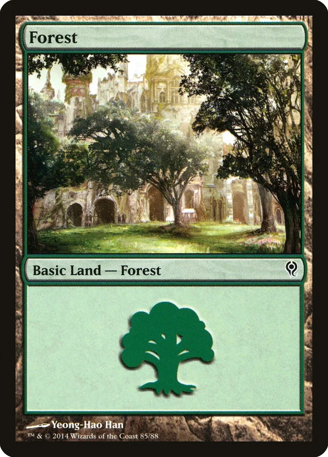 Forest (Duel Decks: Jace vs. Vraska) - Magic: The Gathering in TCG Land