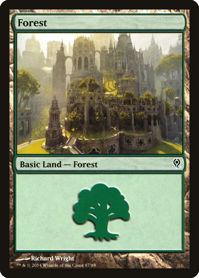 Forest (Duel Decks: Jace vs. Vraska) - Magic: The Gathering in TCG Land