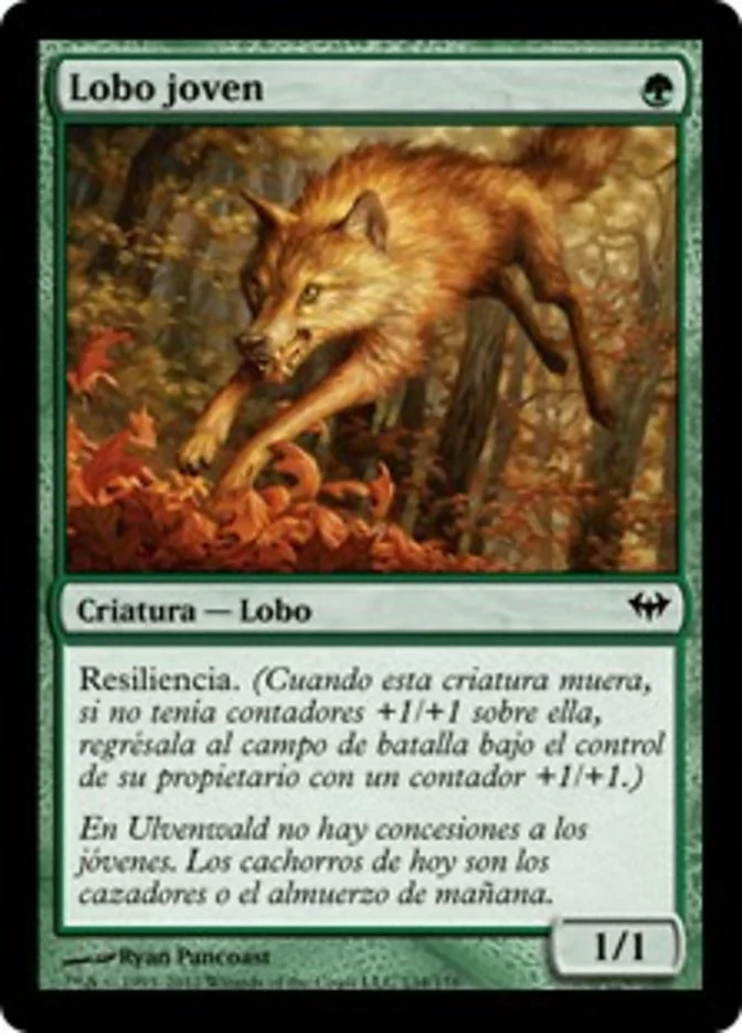 Lobo joven (Dark Ascension) - Magic: The Gathering in TCG Land