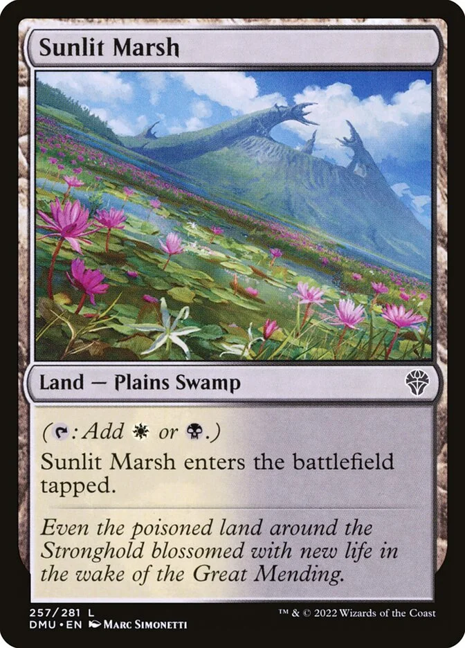 Sunlit Marsh (Dominaria United) - Magic: The Gathering in TCG Land
