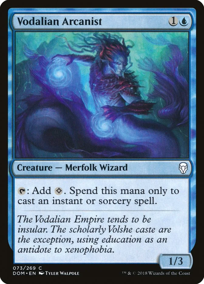 Vodalian Arcanist (Dominaria) - Magic: The Gathering in TCG Land