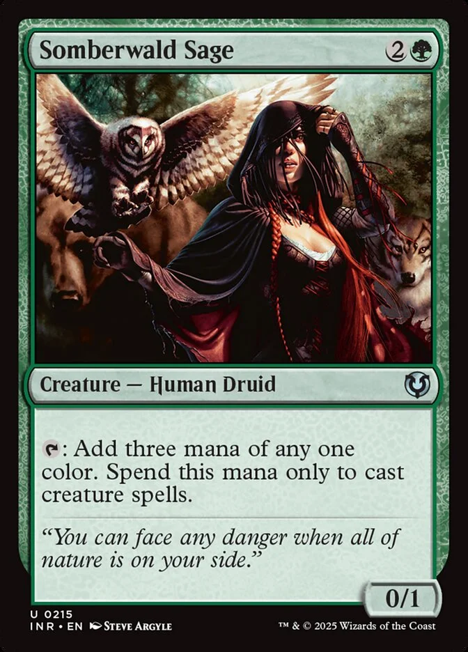 Somberwald Sage (Innistrad Remastered) - Magic: The Gathering in TCG Land