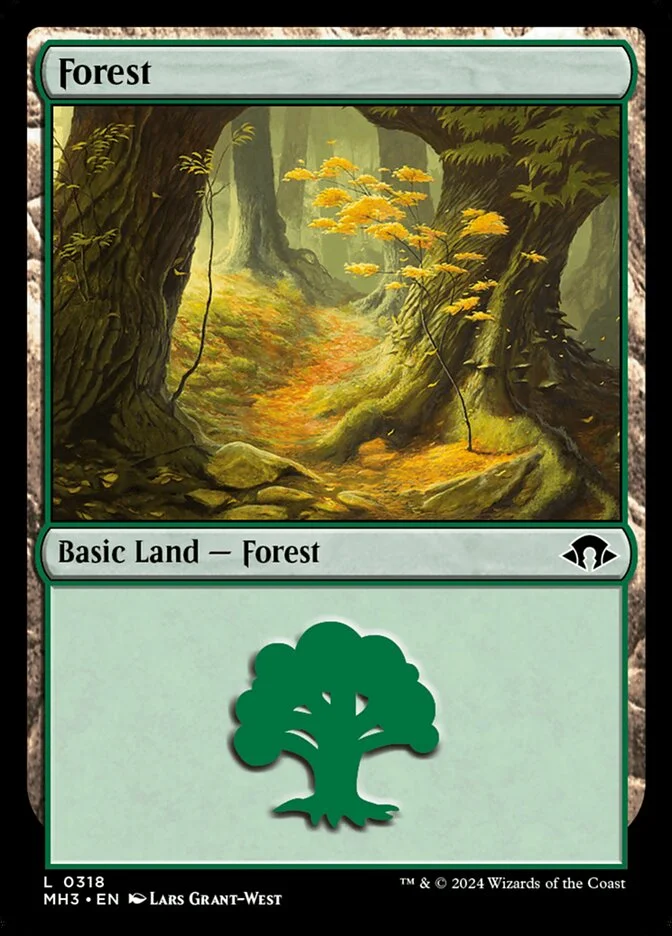 ☆送料込☆ mtg Forest 森　LEA 英1枚 APAC1)《森/Forest》(Illus.Pete Venters)[APACランド] 土地