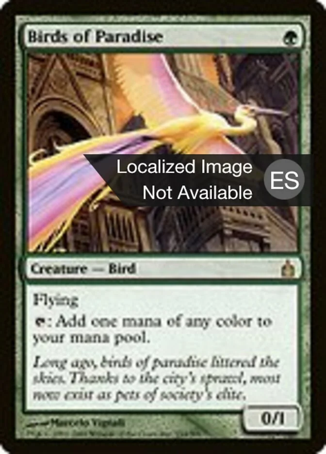 Aves del paraíso (Ravnica: City of Guilds) - Magic: The Gathering in TCG Land México