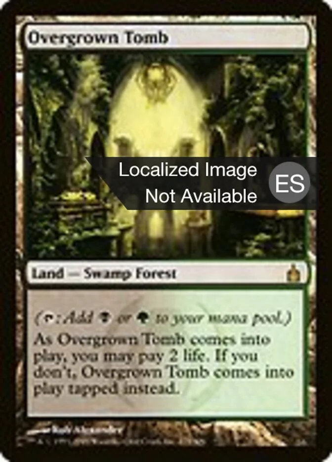 Tumba cubierta de hierbas (Ravnica: City of Guilds) - Magic: The Gathering in TCG Land