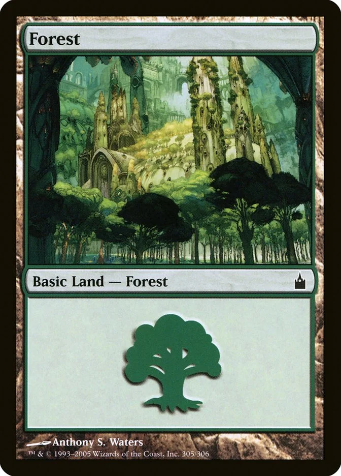 ☆送料込☆ mtg Forest 森　LEA 英1枚 470)《森/Forest》[CLB] 土地 | 日本最大級 MTG通販サイト