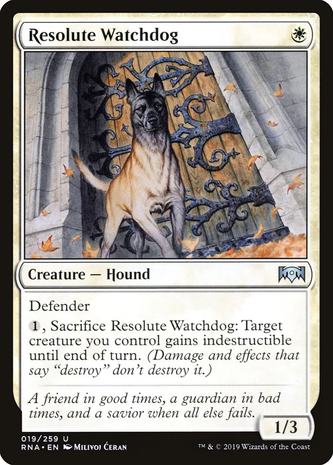 Resolute Watchdog (Ravnica Allegiance) - Magic: The Gathering in TCG Land