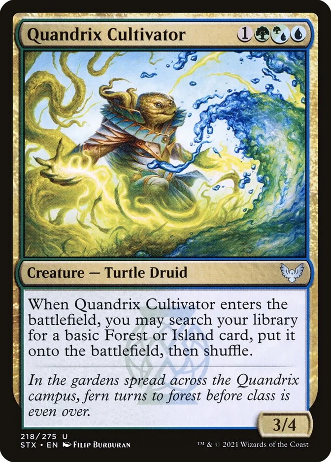 Quandrix Cultivator (Strixhaven: School of Mages) - Magic: The Gathering in TCG Land
