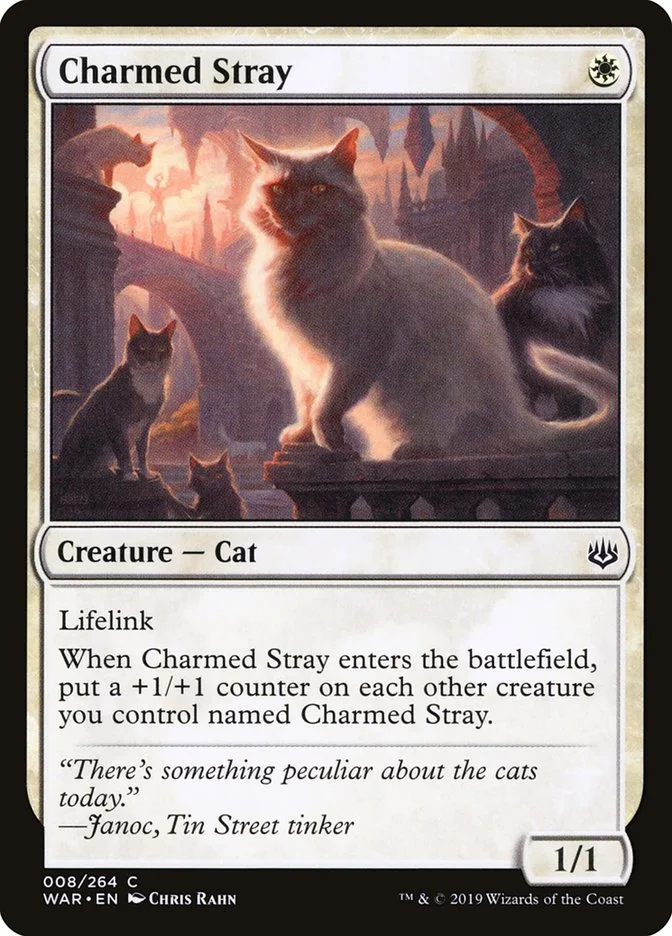 Charmed Stray (War of the Spark) - Magic: The Gathering in TCG Land