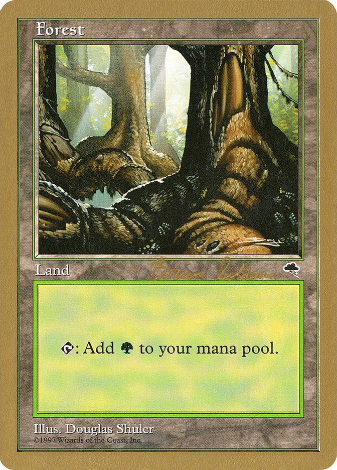 Forest (World Championship Decks 1998) - Magic: The Gathering in TCG Land México