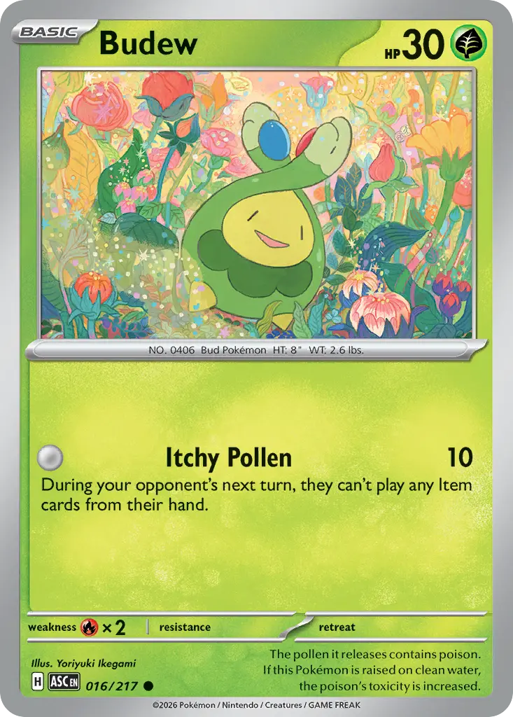 Budew (Ascended Heroes) - Pokémon in TCG Land México