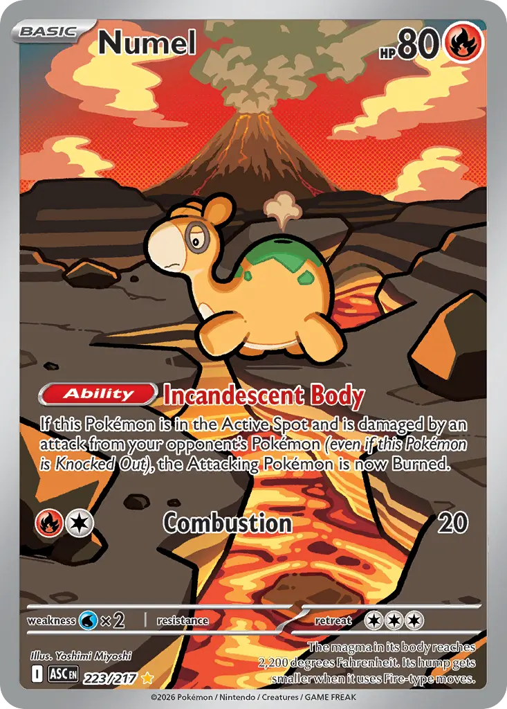 Numel (Ascended Heroes) - Pokémon in TCG Land México