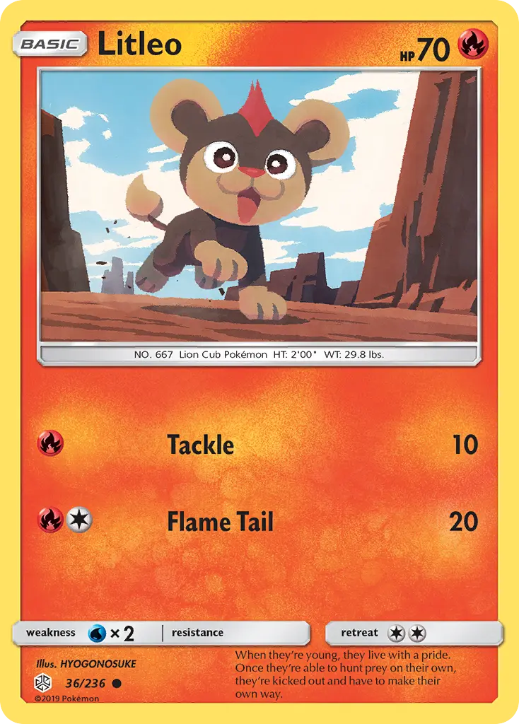 Litleo (Cosmic Eclipse) - Pokémon in TCG Land