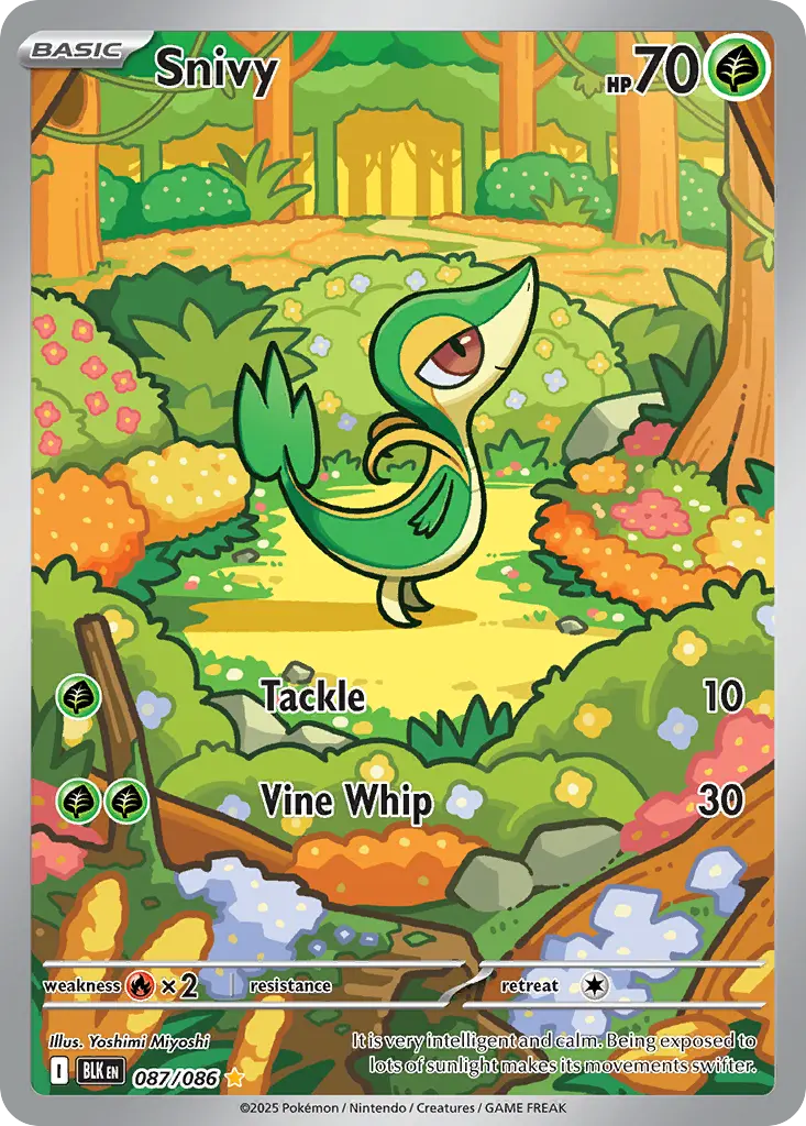 Snivy (Black Bolt) - Pokémon in TCG Land México